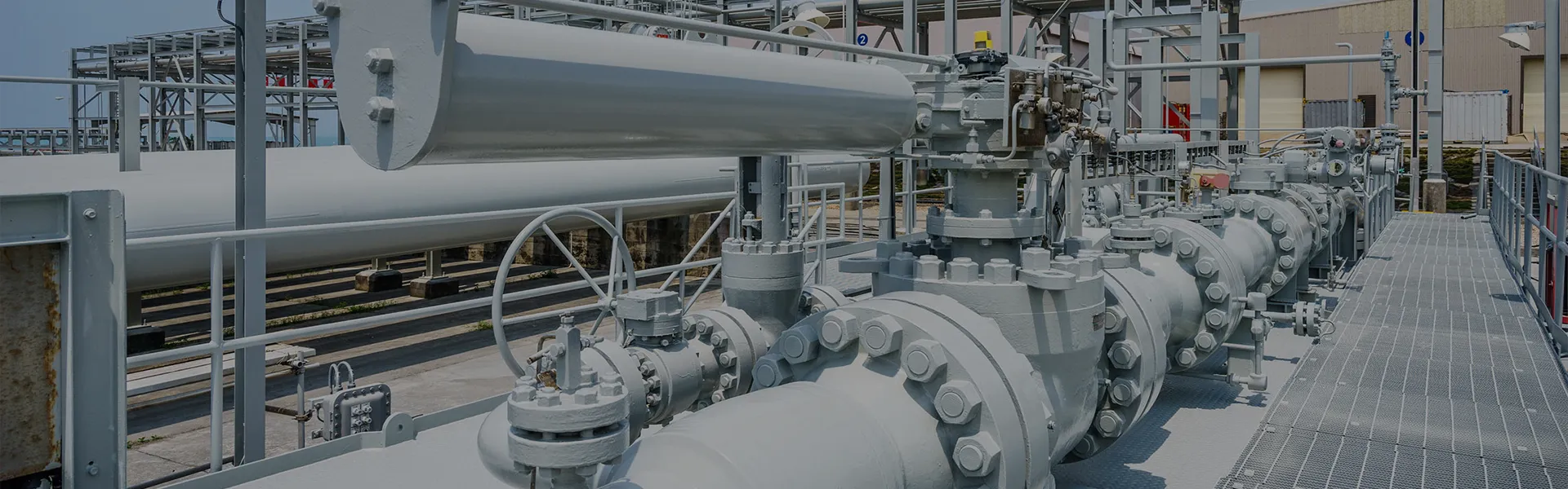 معلومات عنا